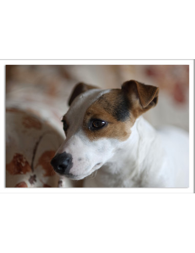 MANGUITO HEXAG. VM 8 -79690.